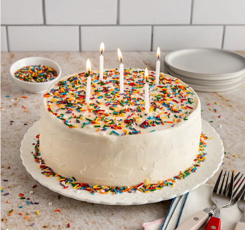 Cake Maker Baking Tips: Your Ultimate Guide to Perfect Cakes